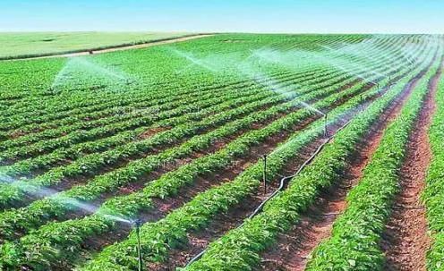 干新娘子穴视频农田高 效节水灌溉